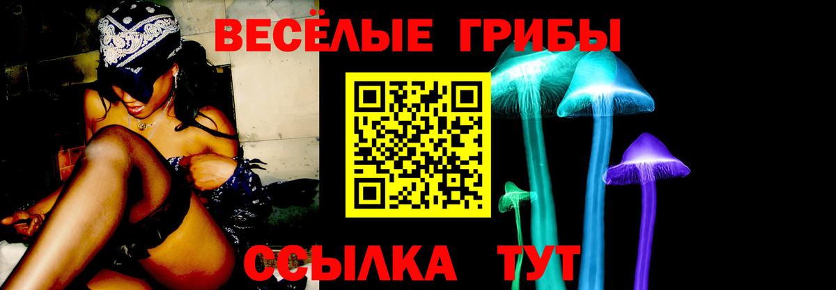 Нефтеюганск  Псилоцибиновые грибы GOLDEN TEACHER  Псилоцибиновые грибы MAGIC MUSHROOMS  Вход с VPN 
